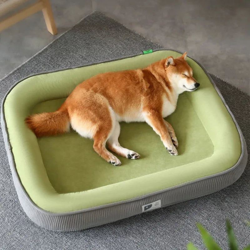 DuraPaws™ | Plush Paws Paradise