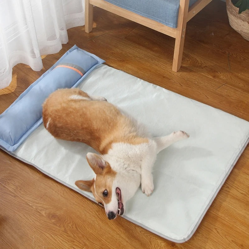 FrostPet™ | Improve Sleep Quality with Cooling and Support