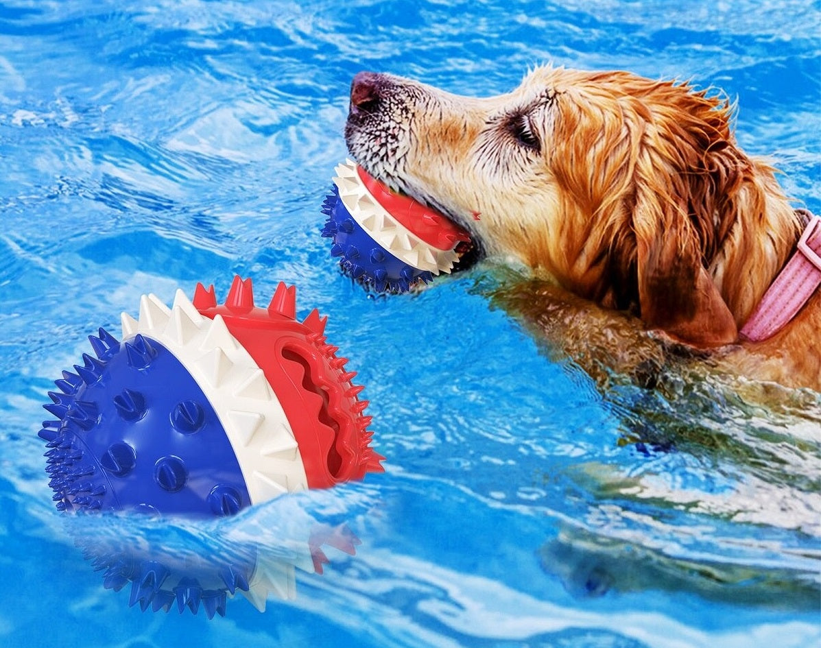 Clawzy™ | For Active Pets