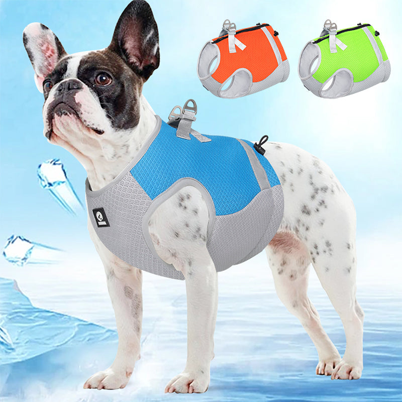 FrostFit™ | Never Again Stress and Heat