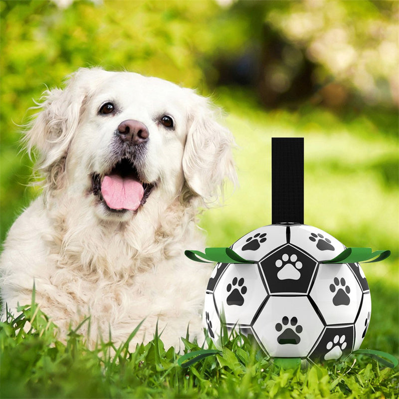 FlapFetch™ | Makes Dogs Happy and Active