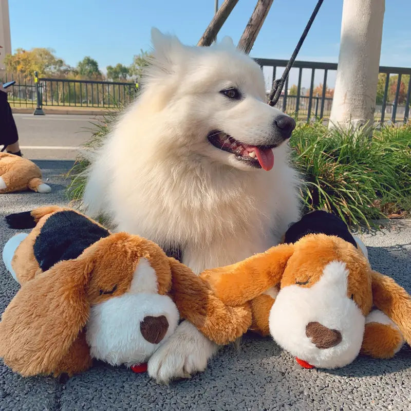 CuddleBuddy™ | For Anxiety, Barking, and Loneliness