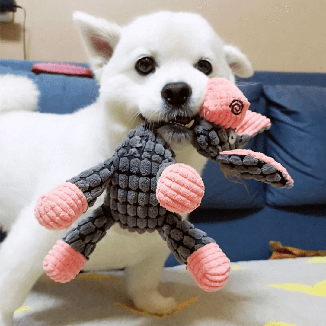 PawBite™ | The toy that lasts