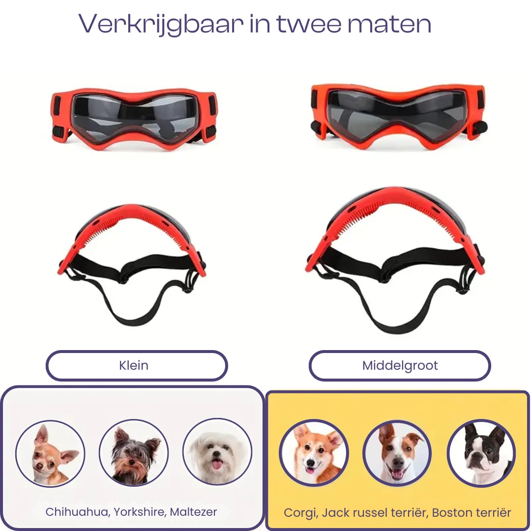 PupVisor™ | Trendy UV Dog Sunglasses