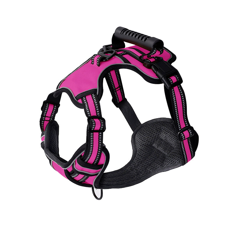 GlowFit™ | Stressfreies Gehen ohne Ziehen