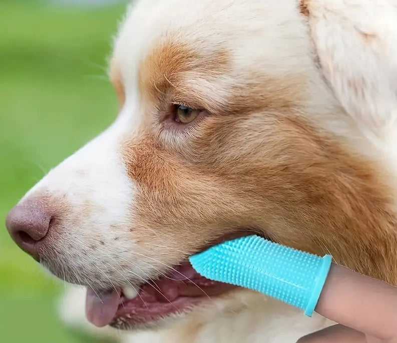 WoofWiper™ | Fresh Breath and Dental Care