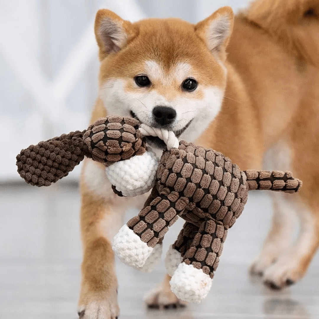 PawBite™ | The toy that lasts