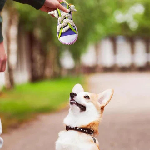 ShoeBite™ | Squeaky Shoe Toy