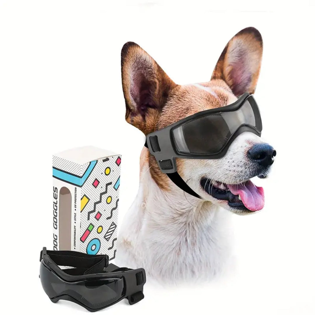 PupVisor™ | Trendy UV Dog Sunglasses