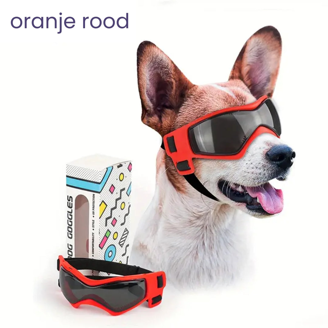 PupVisor™ | Trendy UV Dog Sunglasses