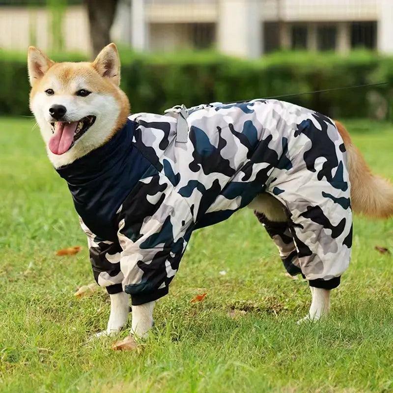FurWrap™ | Keeps your dog warm, dry, and safe