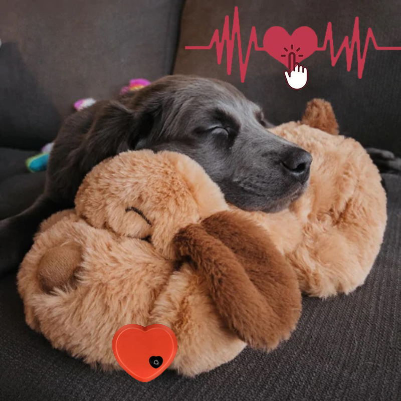 CuddleBuddy™ | For Anxiety, Barking, and Loneliness