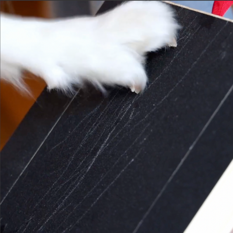 Nailscape™ | Prevent Furniture Damage and Keep Nails Healthy