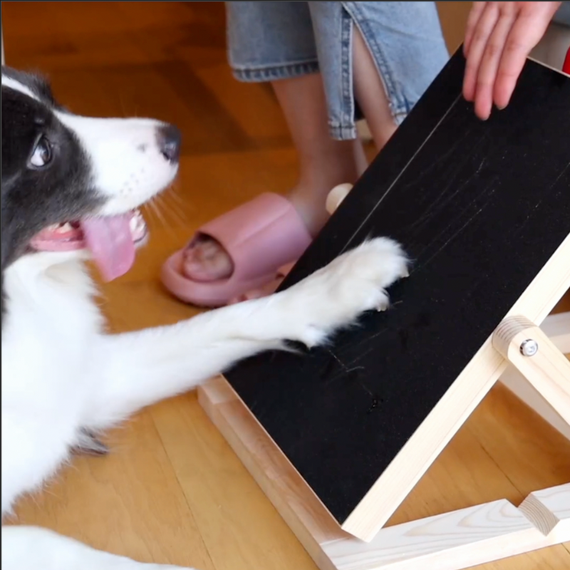 Nailscape™ | Prevent Furniture Damage and Keep Nails Healthy