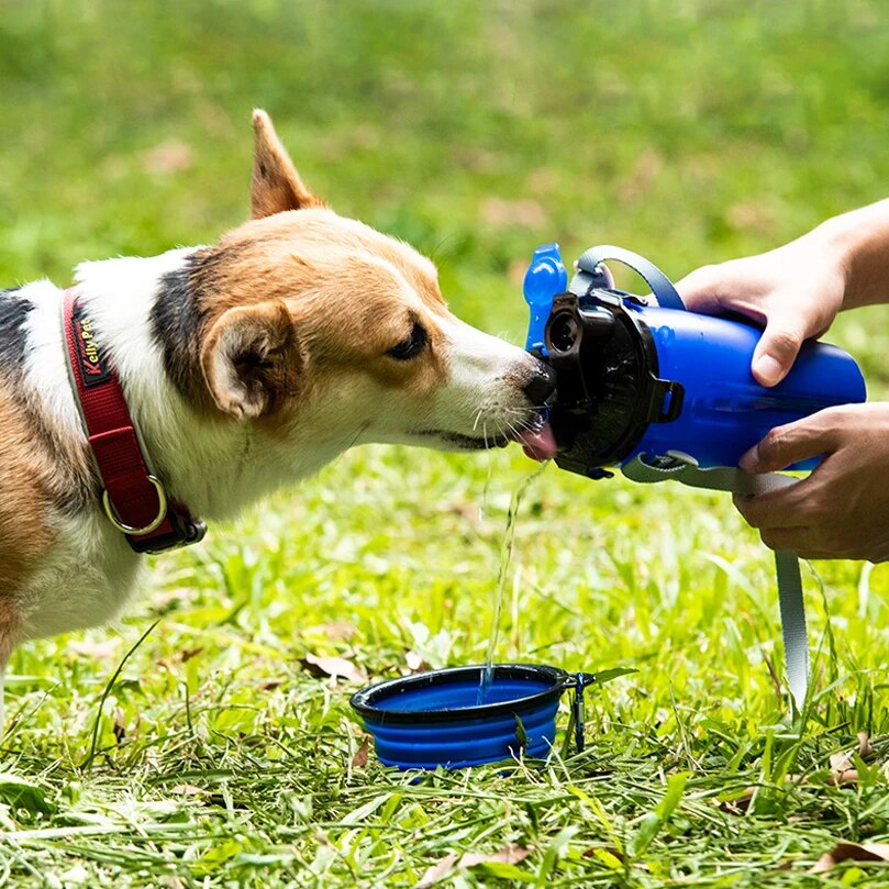 SnackPaws™ | Includes 2 free Bowls (worth €19.95)