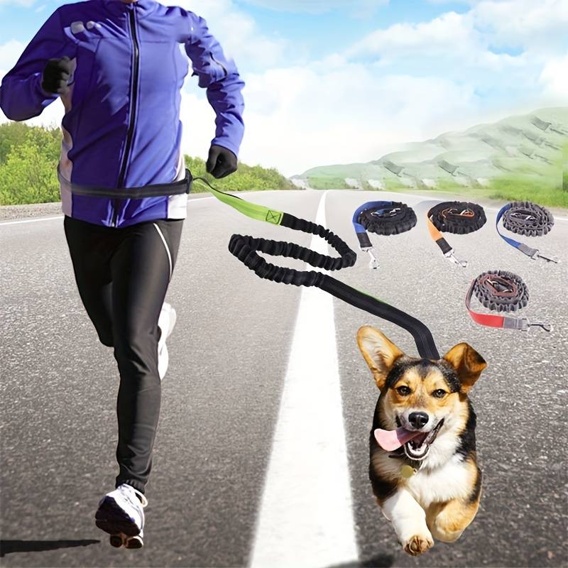WalkWag™ | Enjoy Effortless Walks