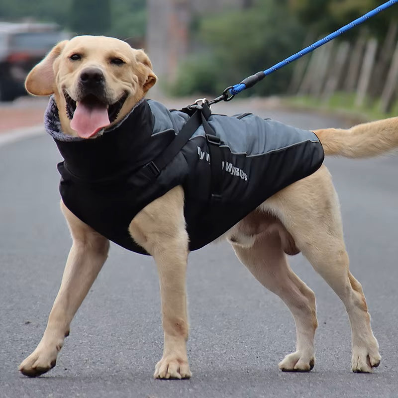 CloudTail™ | Warm Dog Coat with Reflective Details