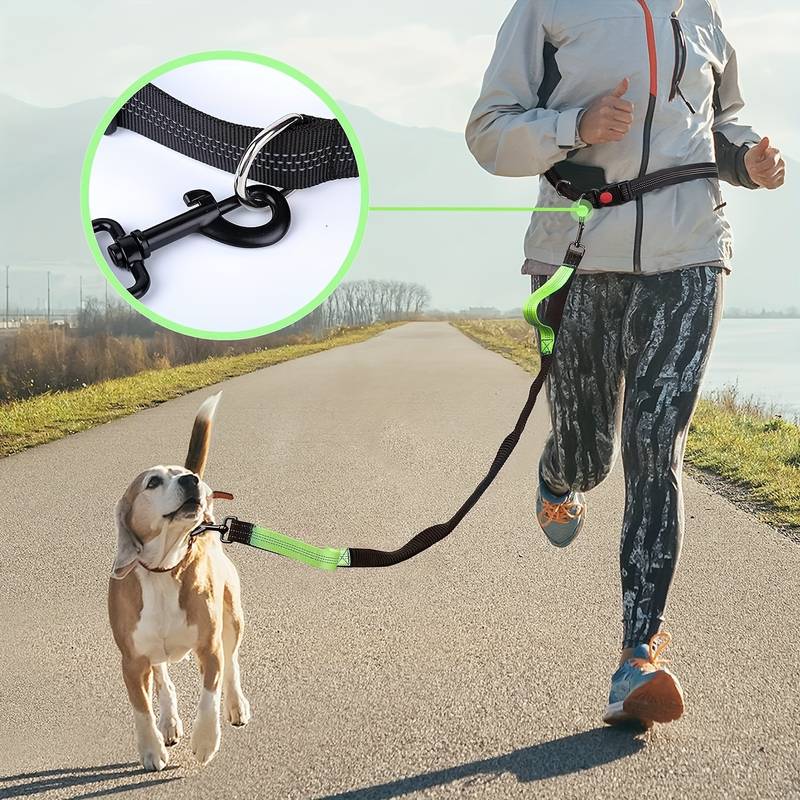 WalkWag™ | Enjoy Effortless Walks