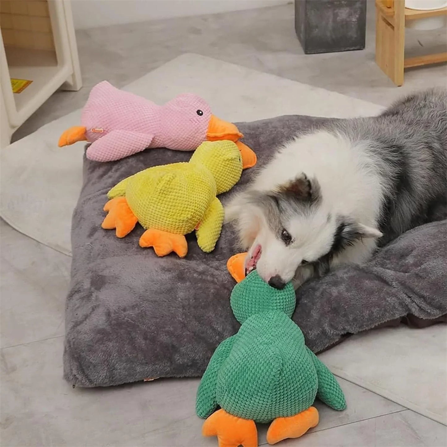 DuckyDazzle™ | Prevent Boredom and Anxiety When Home Alone