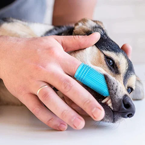 WoofWiper™ | Fresh Breath and Dental Care