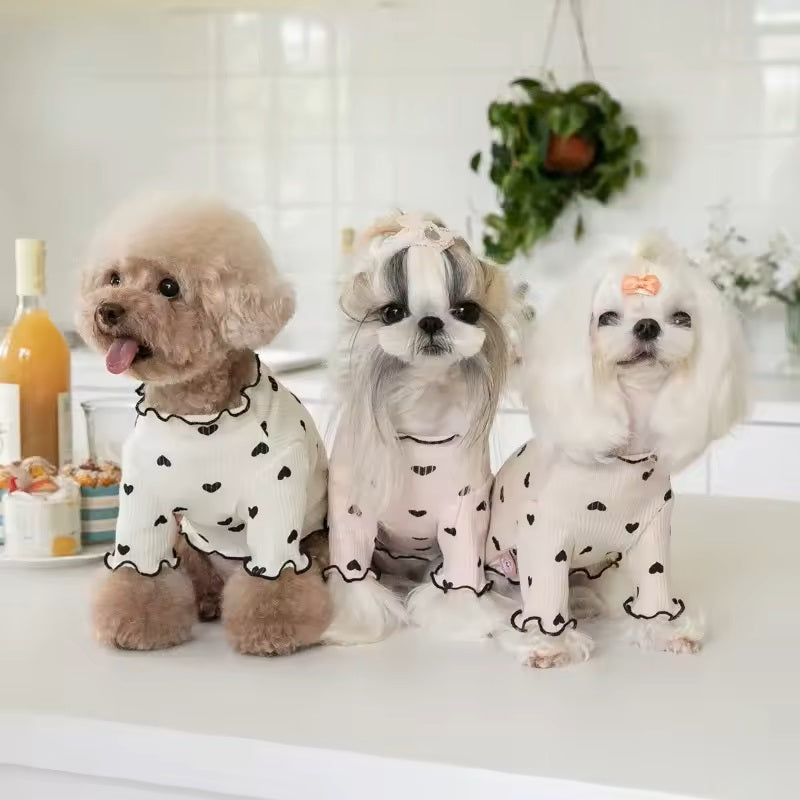 PawPoo™ | A gesture of love for your dog