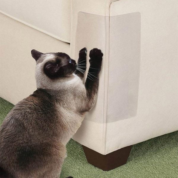 PurrCover™ | Protection Against Scratches and Chewing