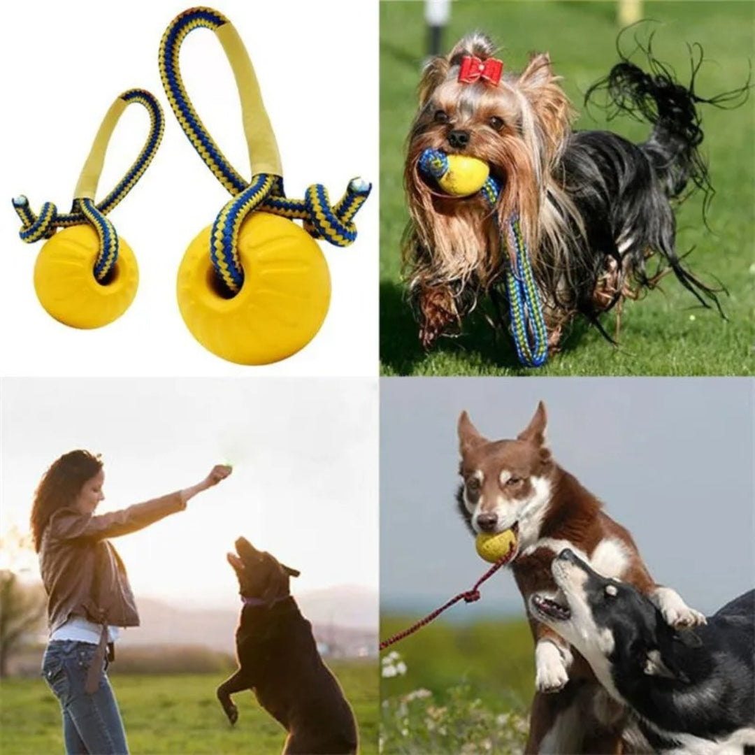 TitanBite™ | Strong Chew Ball for Dogs