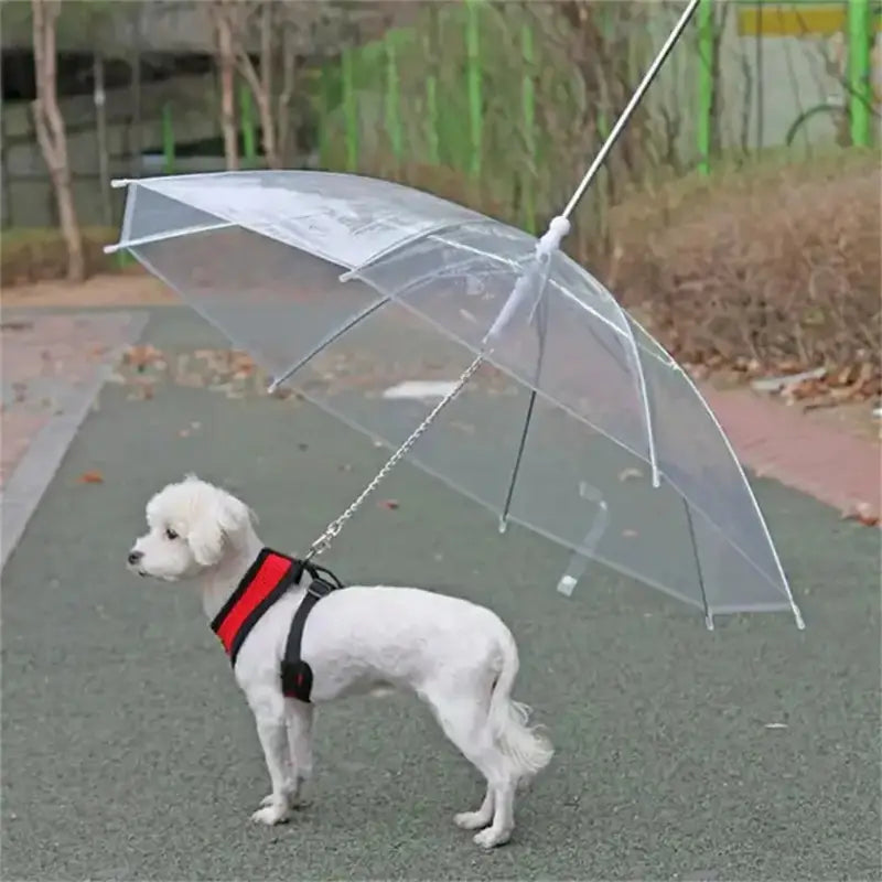 PawRain™ | Prevent a Wet Dog and Maintain a Odour-Free Coat