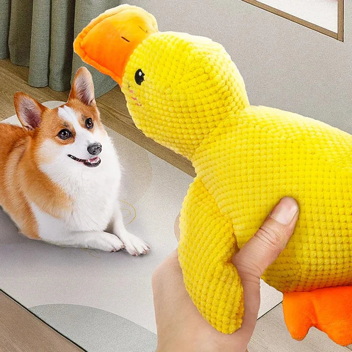 DuckyDazzle™ | Prevent Boredom and Anxiety When Home Alone