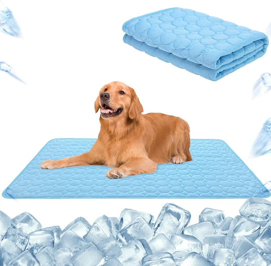 IcyWoof™ | The Best Summer Solution