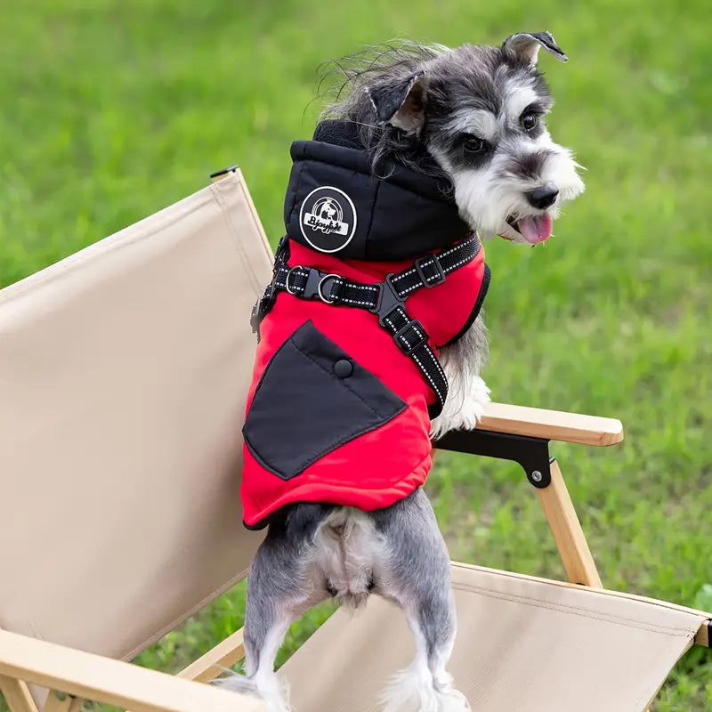 WinterPaw™ | Warm dog coat with integrated harness