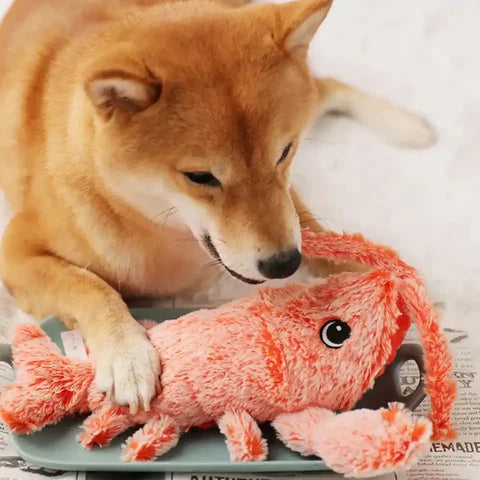 PawLobster™ | Prevent boredom and keep your dog happy