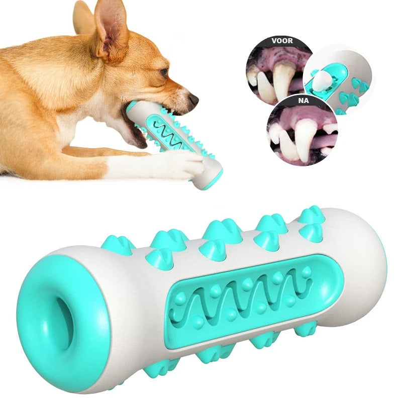 BrushBuddy™ | Healthy Teeth for Your Dog