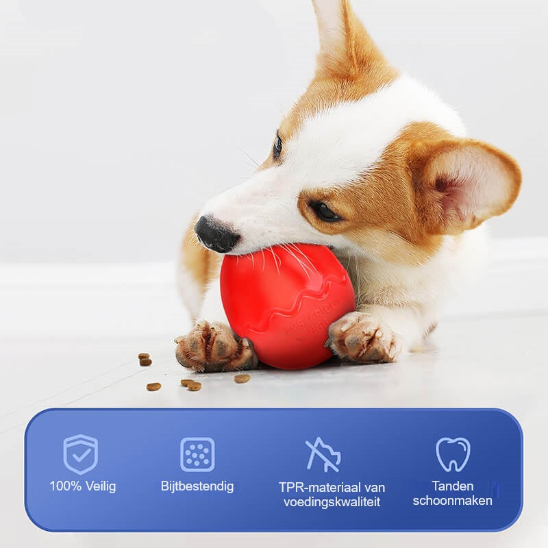 EggoPup™ | Eivorm Slow Feeder