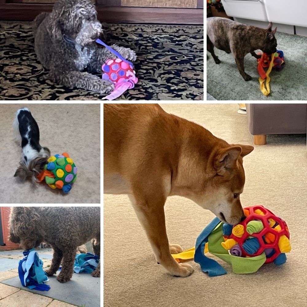 SnuffelBal™ | Interactive Puzzle Ball