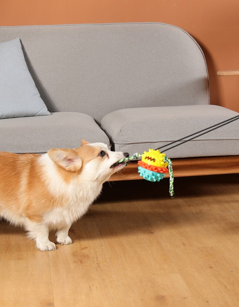 Clawzy™ | For Active Pets