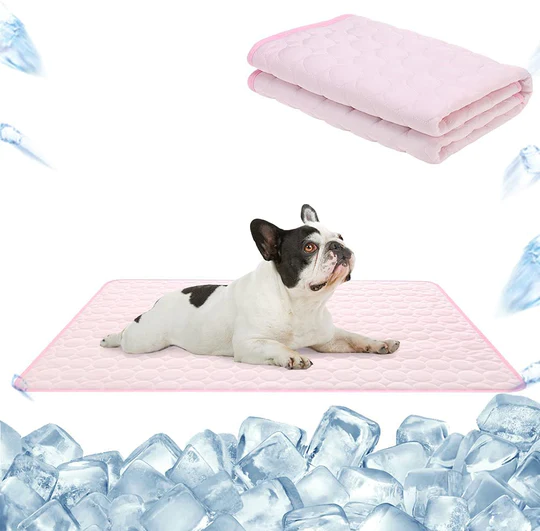 IcyWoof™ | The Best Summer Solution