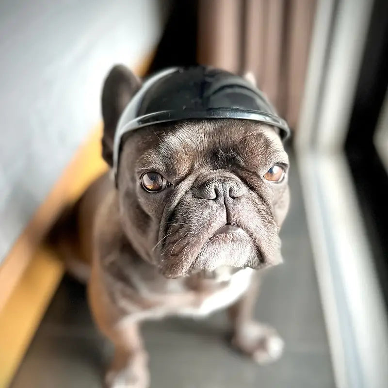 FurrBiker™ | Includes Free Protective Glasses (worth €19.95)