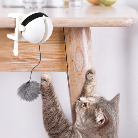 PurrPower™ | Automatic Moving Toy