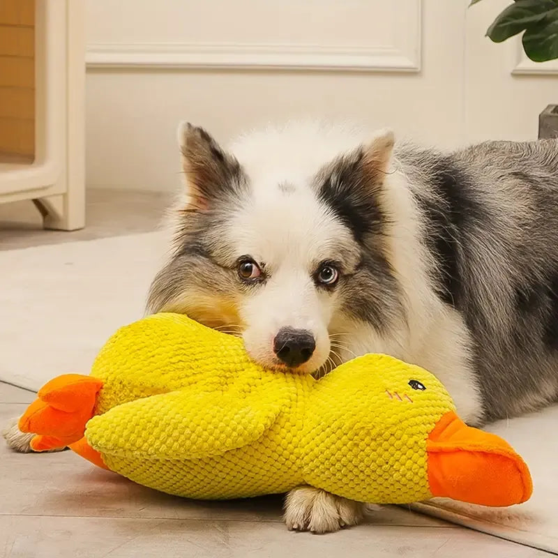 DuckyDazzle™ | Prevent Boredom and Anxiety When Home Alone