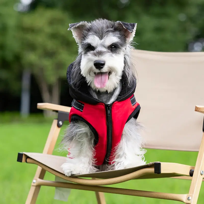 WinterPaw™ | Warm dog coat with integrated harness