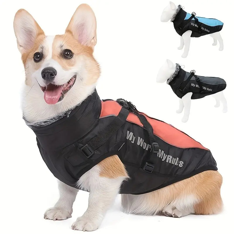 CloudTail™ | Warm Dog Coat with Reflective Details