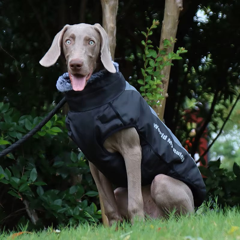 CloudTail™ | Warm Dog Coat with Reflective Details