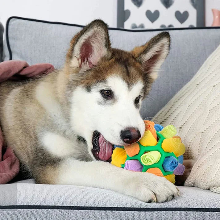 SnuffelBal™ | Interactive Puzzle Ball