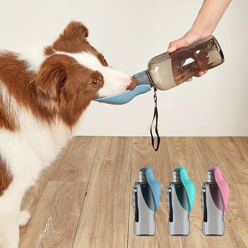 QuikSip™ | Always Fresh Water for Your Dog