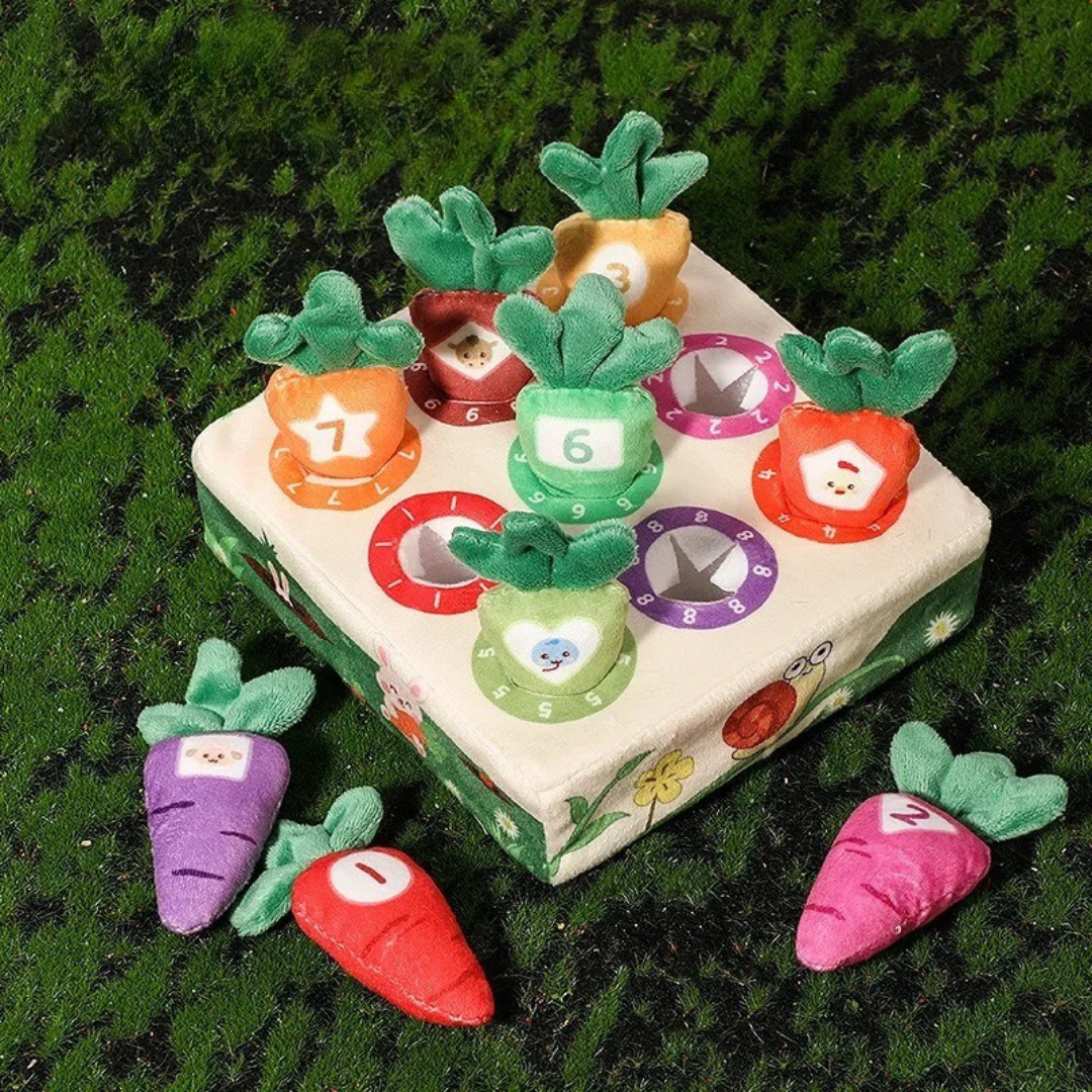 Sensory Carrots – Feeling & Picking - Sensory Toys