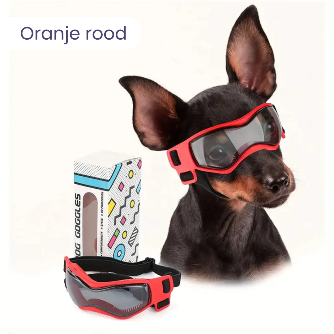 PupVisor™ | Trendy UV Dog Sunglasses