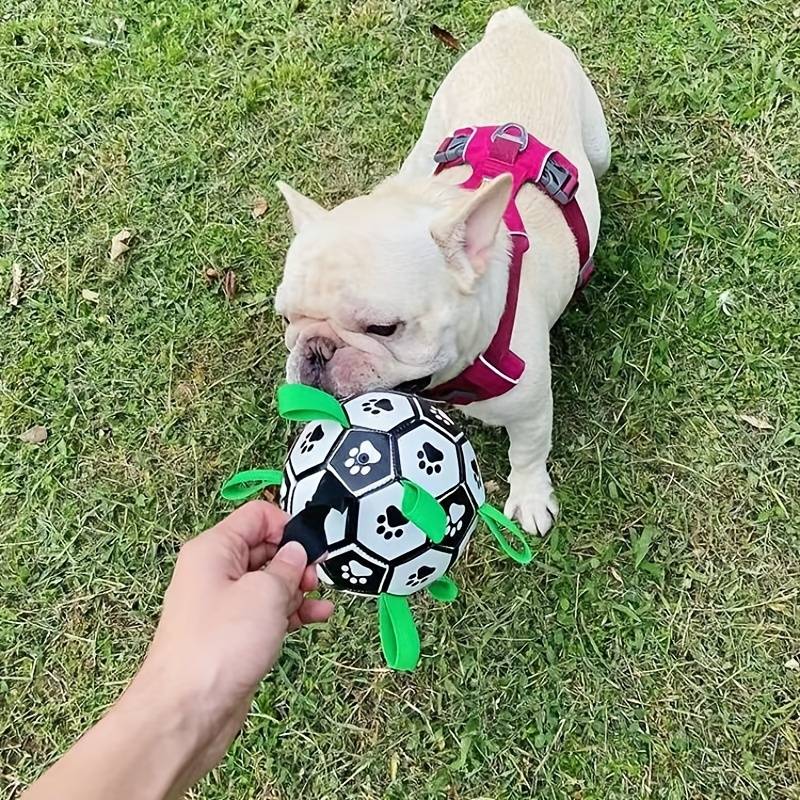 FlapFetch™ | Makes Dogs Happy and Active