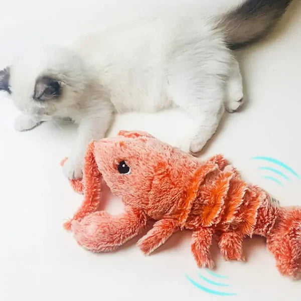 PawLobster™ | Prevent boredom and keep your dog happy