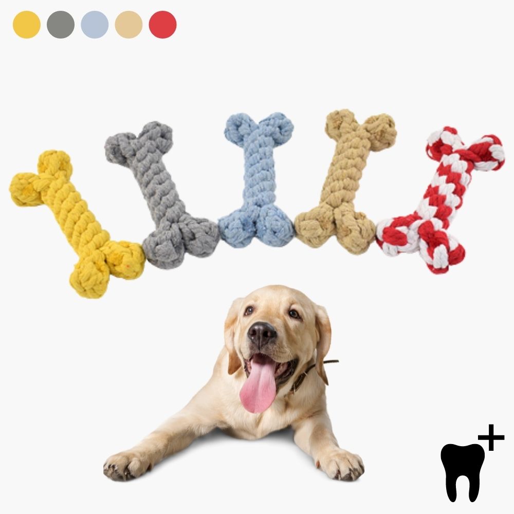 DentRope™ | Powerful for Intensive Chewers